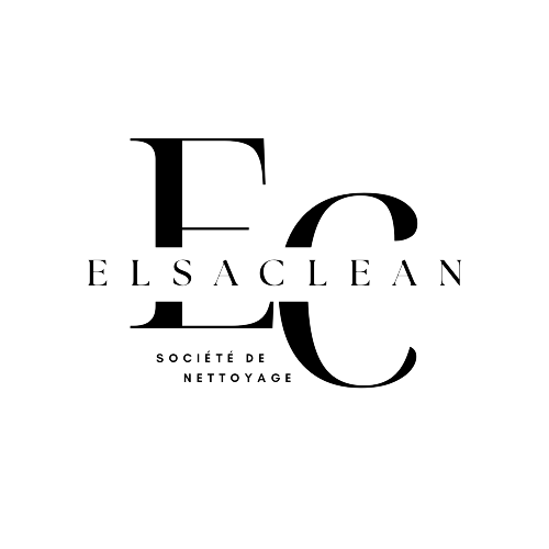 ElsaClean